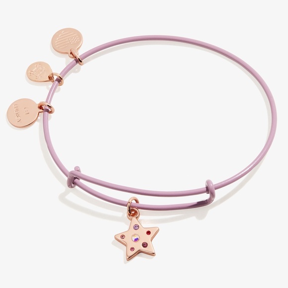 Alex and Ani Jewelry - Alex and Ani Star Charm Purple Bangle Bracelet